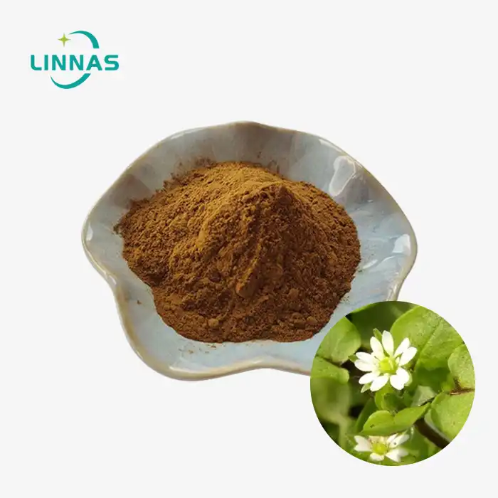 Chickweed Extract Powder